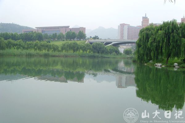 SNV34894.JPG
